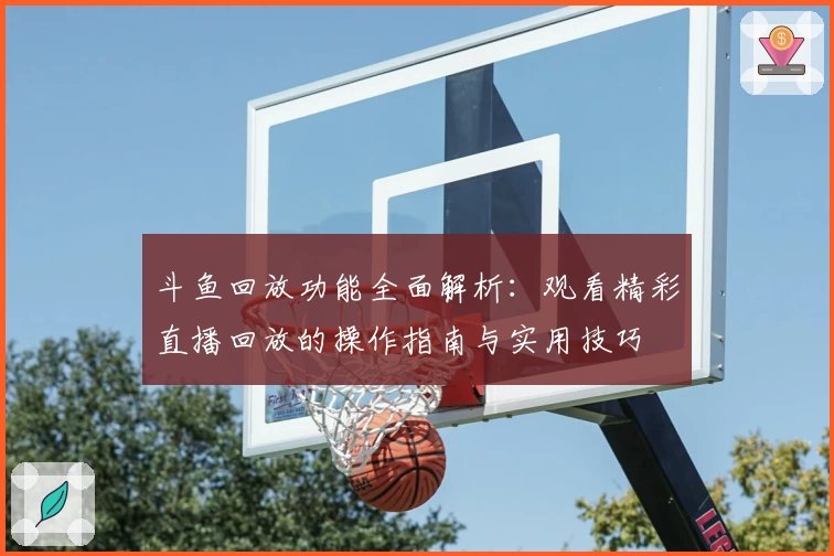 斗鱼回放功能全面解析：观看精彩直播回放的操作指南与实用技巧