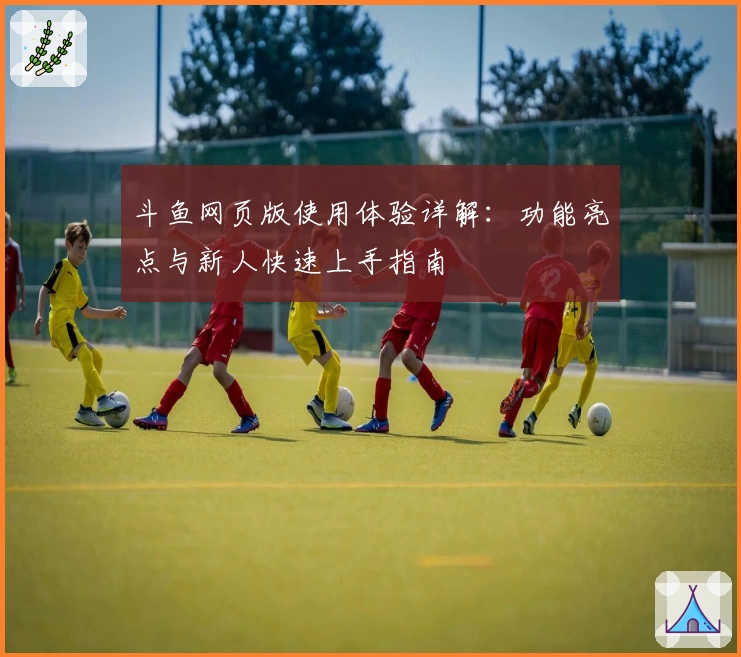 斗鱼网页版使用体验详解：功能亮点与新人快速上手指南