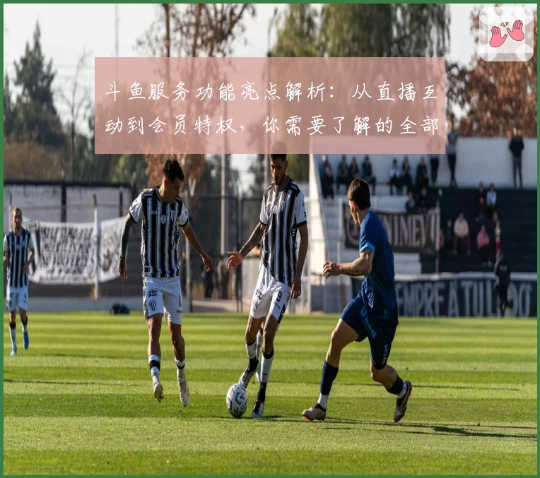 斗鱼服务功能亮点解析：从直播互动到会员特权，你需要了解的全部内容