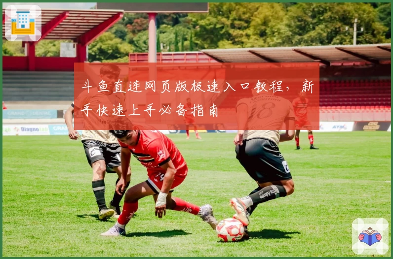 斗鱼直连网页版极速入口教程，新手快速上手必备指南