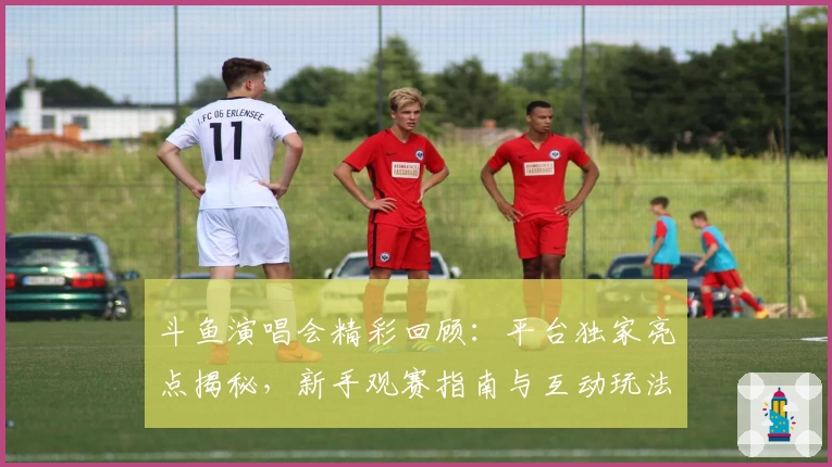 斗鱼演唱会精彩回顾:平台独家亮点揭秘,新手观赛指南与互动玩法详解