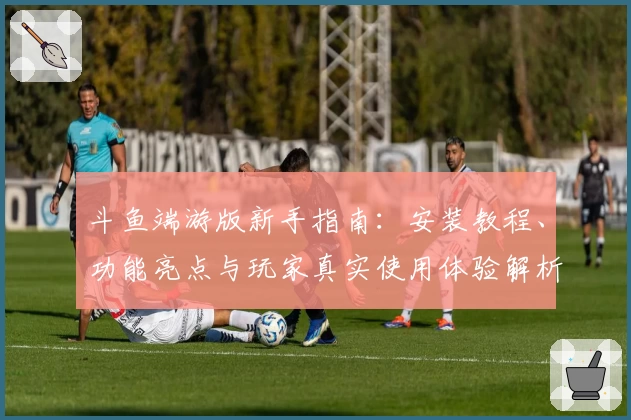 斗鱼端游版新手指南：安装教程、功能亮点与玩家真实使用体验解析
