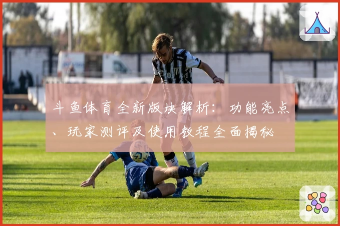斗鱼体育全新版块解析：功能亮点、玩家测评及使用教程全面揭秘