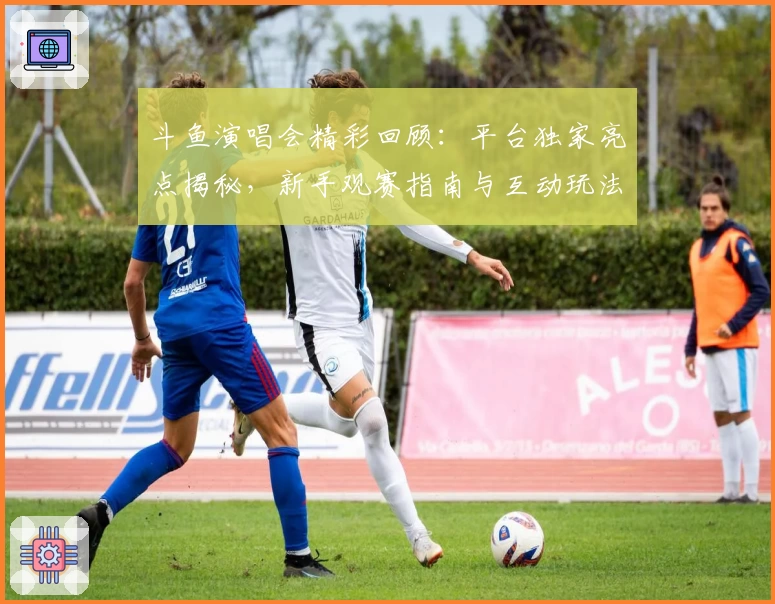 斗鱼演唱会精彩回顾：平台独家亮点揭秘，新手观赛指南与互动玩法详解